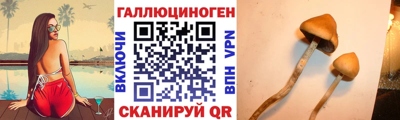 даркнет официальный сайт  Тайшет  Галлюциногенные грибы ЛСД  mega вход 